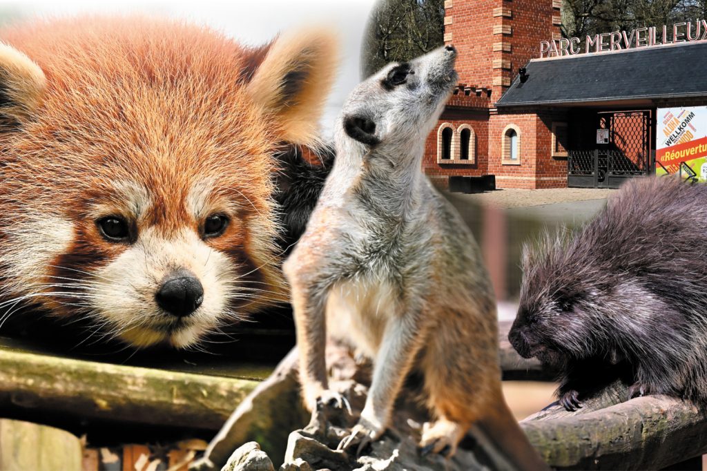 Bettemburg / Saisonbeginn des „Parc merveilleux“: über Besucher, Erfolgsrezepte und gelebte Inklusion