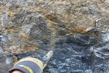 Zusammenhängende Segmente von insgesamt fast 50 cm Länge wurden gefunden