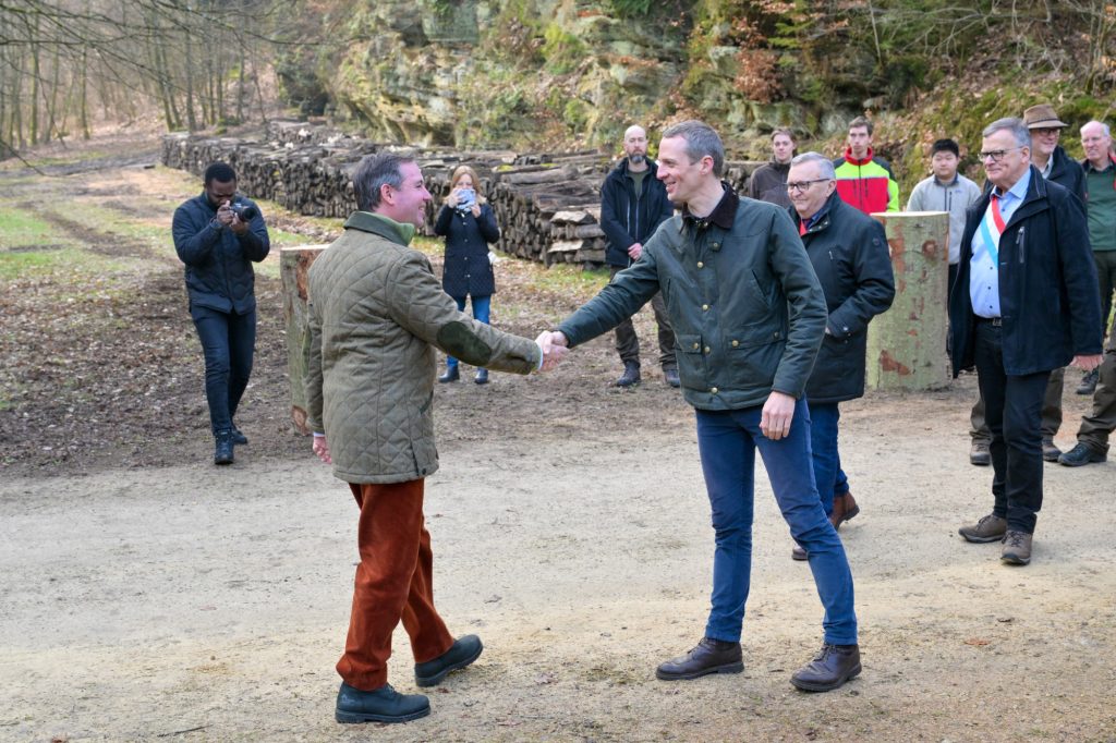 Umweltschutz / An der Verjüngung des Waldes führt kein Weg vorbei