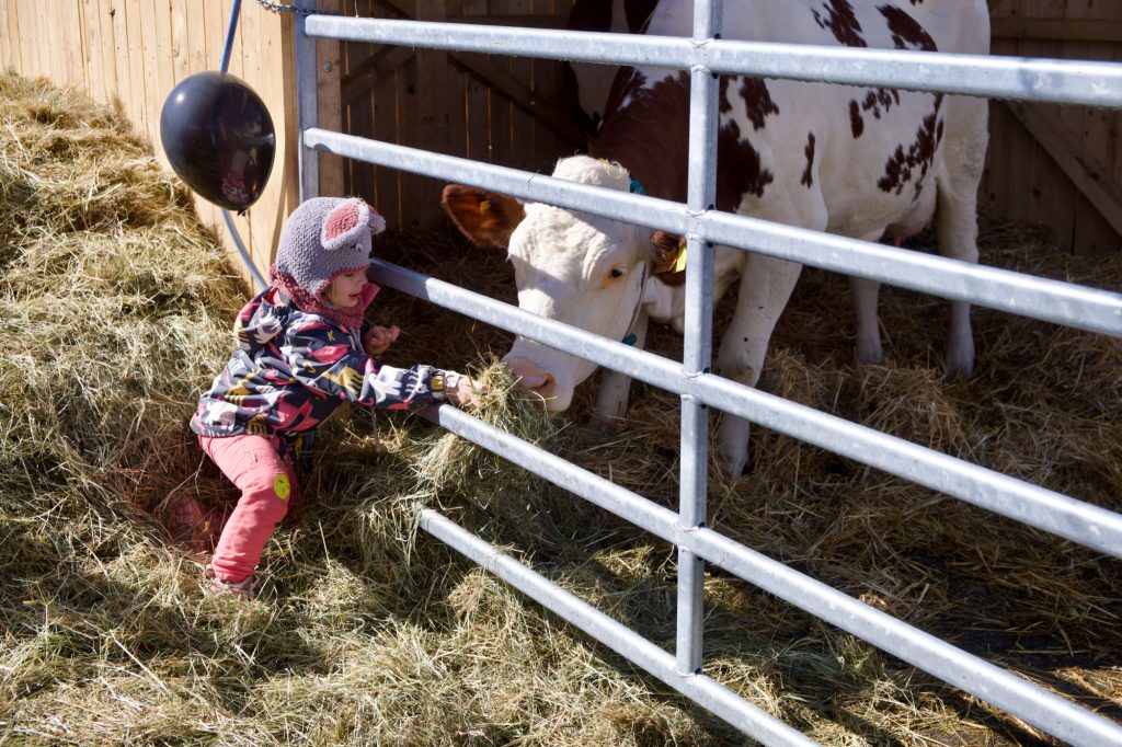 Erlebnis Bauernhof / „De Bauerenhaff an der Stad“ begeisterte alle Generationen