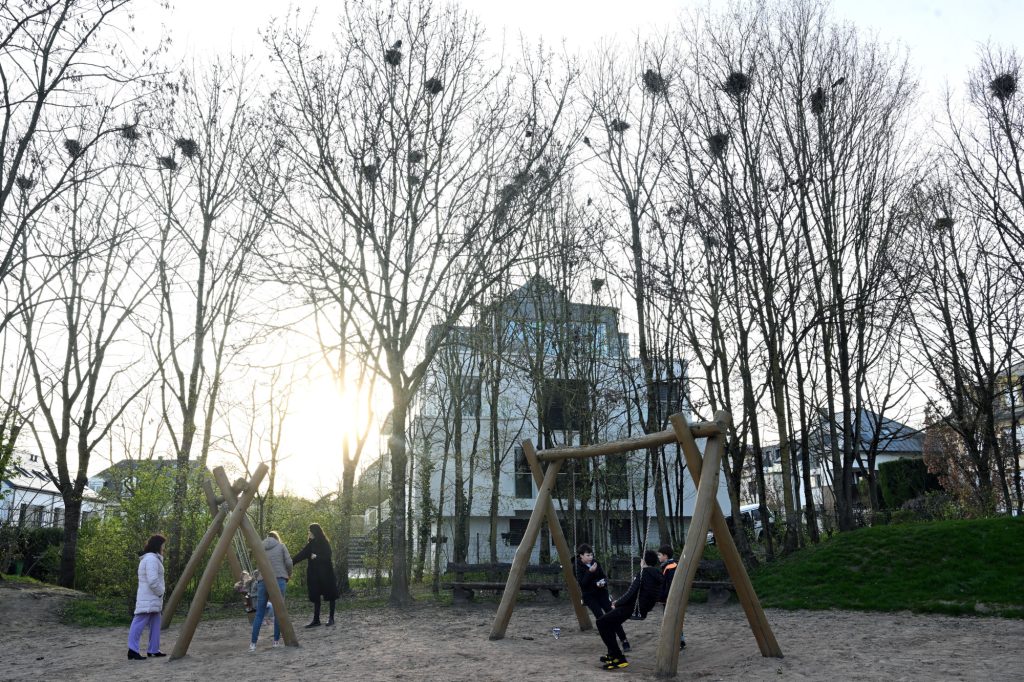Luxemburg-Stadt / Die Raben in Merl sind umgezogen: Geschützte Vogelart nistet bei beliebtem Spielplatz