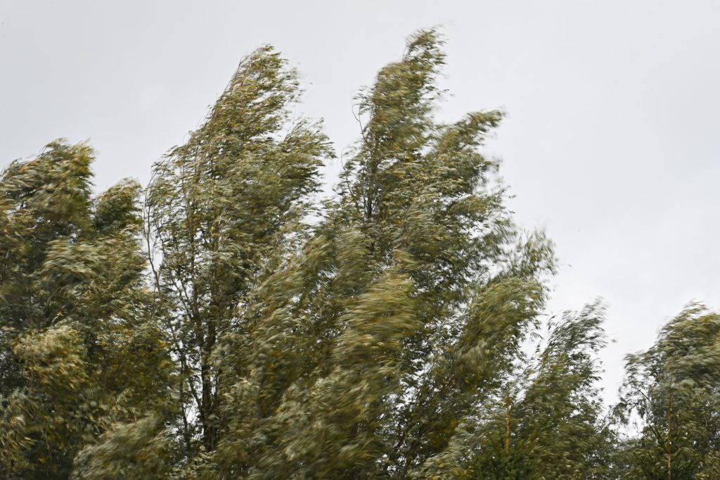 Luxemburg / Meteolux warnt für Donnerstag vor starken Windböen im ganzen Land