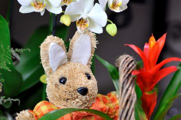 Brauchtum / Warum werden an Ostern bunte Eier versteckt? – Wissenswertes rund um das Fest