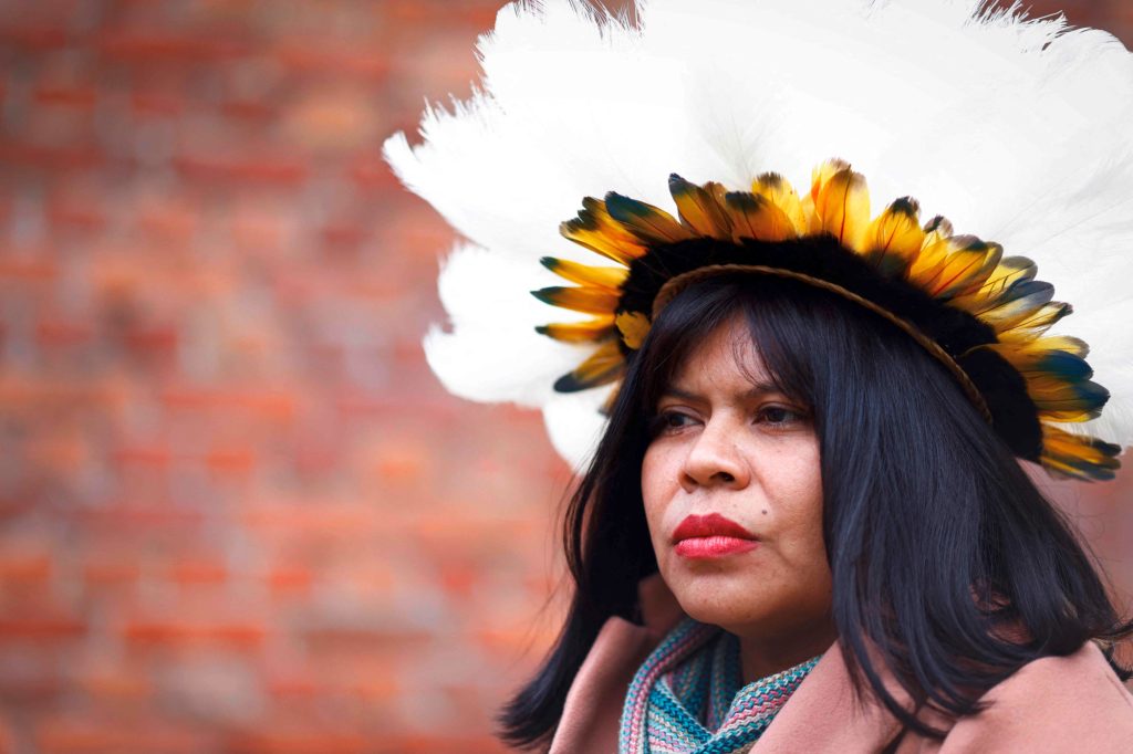 Brasilien / Feuchtsavannen-Region Cerrado droht zerstört zu werden – Indigene wenden sich an EU