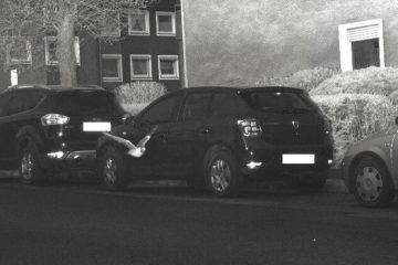 Deutschland / Zu schnell geflogen: Taube löst Radarfalle aus