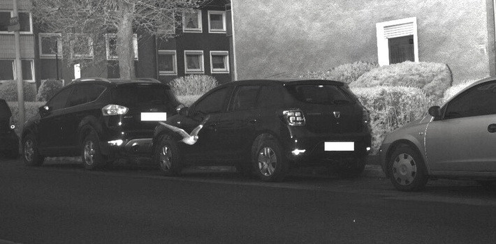 Deutschland / Zu schnell geflogen: Taube löst Radarfalle aus