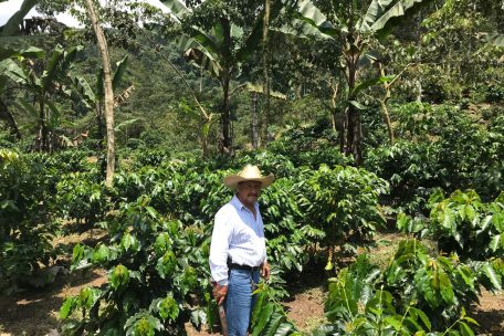 Am Ende der Wertschöpfungskette: ein Kaffeebauer in Guatemala, San Pablo