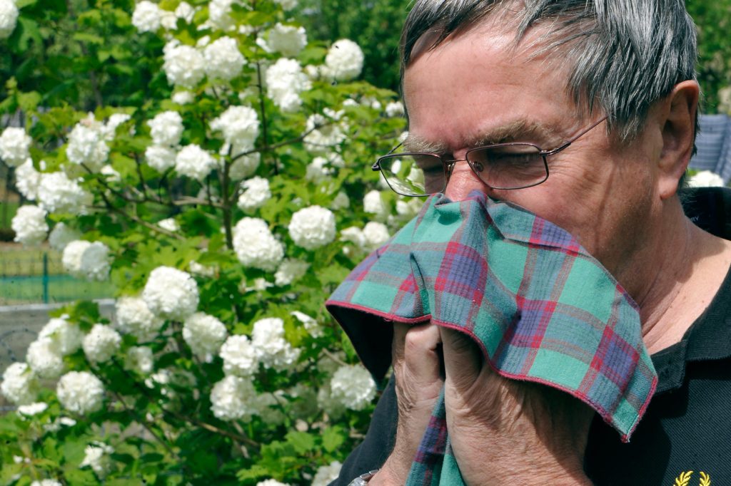 Hatschi! / Allergiker aufgepasst: Auch in Luxemburg kann man Pollen nun per App verfolgen