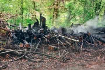 Rosport / Brandstiftung? Polizei sucht nach Zeugen