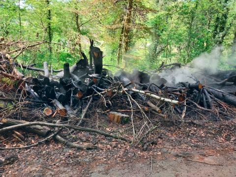 Rosport / Brandstiftung? Polizei sucht nach Zeugen