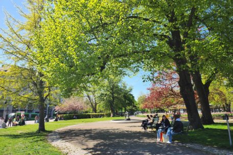 Einer der Stadtparks in Malm&ouml;
