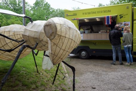 Culture Forest Festival / Klein, aber fein und lokal: Das alternative Festival in Esch