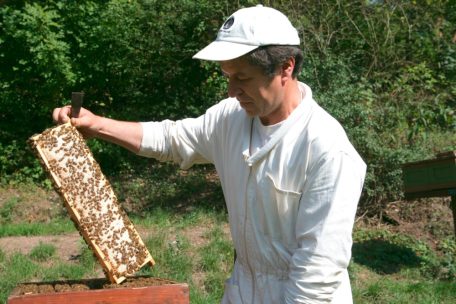 Leserforum / Zum Weltbienentag am 20. Mai 2024: Über den Stellenwert der Imkerei in der Gesellschaft