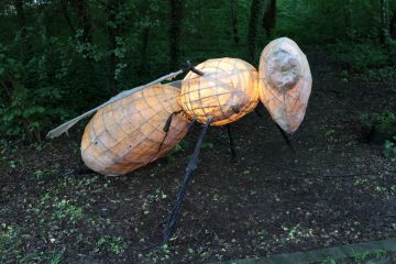 Editorial / Kulturelle Nachwehen in Esch