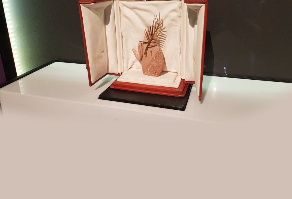 Heiße Phase in Cannes / Wer hat Chancen auf die Goldene Palme?