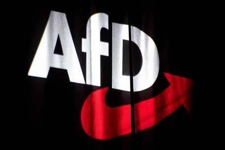 „Reihe von Vorfällen“ / Antrag: AfD soll aus Fraktion im Europaparlament ausgeschlossen werden