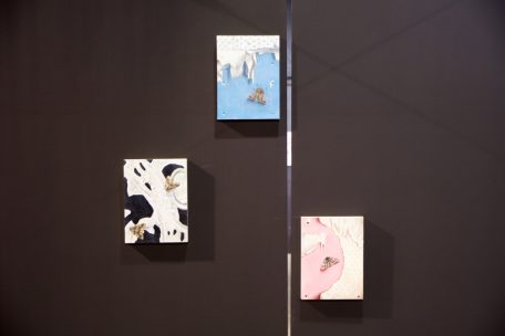 Motten im Mittelpunkt: die Arbeiten von Alexa Kohl