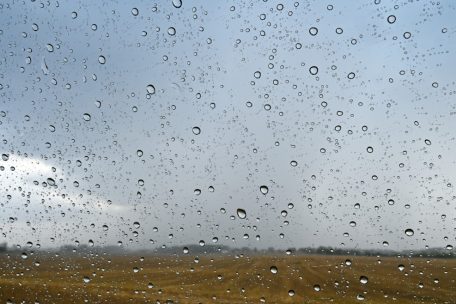 AgriMeteo / 2024 hatte den drittregenreichsten Frühling der Aufzeichnungen: Warum das Nachteile für die Landwirtschaft hat