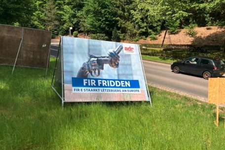 Unmittelbar vor den Wahlen / Dieser Schuss ging nach hinten los: Die ADR baut ihre Plakate ab