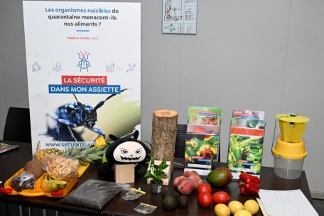 Zahlreiche Stände boten zusätzliche Informationen und die Möglichkeit, Kontakte zu knüpfen