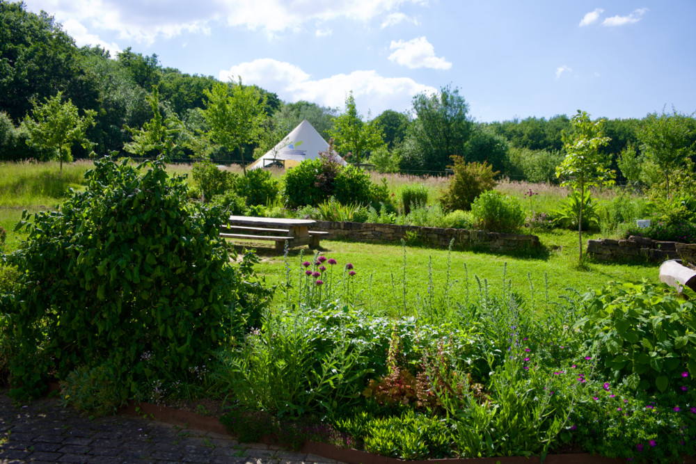 Kockelscheuer / Musik, Kunst und Umweltschutz: Am Wochenende findet das „Fest vun der Natur“ 2024 statt