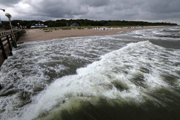 Mecklenburg-Vorpommern / Empörung nach rassistischem Angriff auf Kinder und verletze Achtjährige