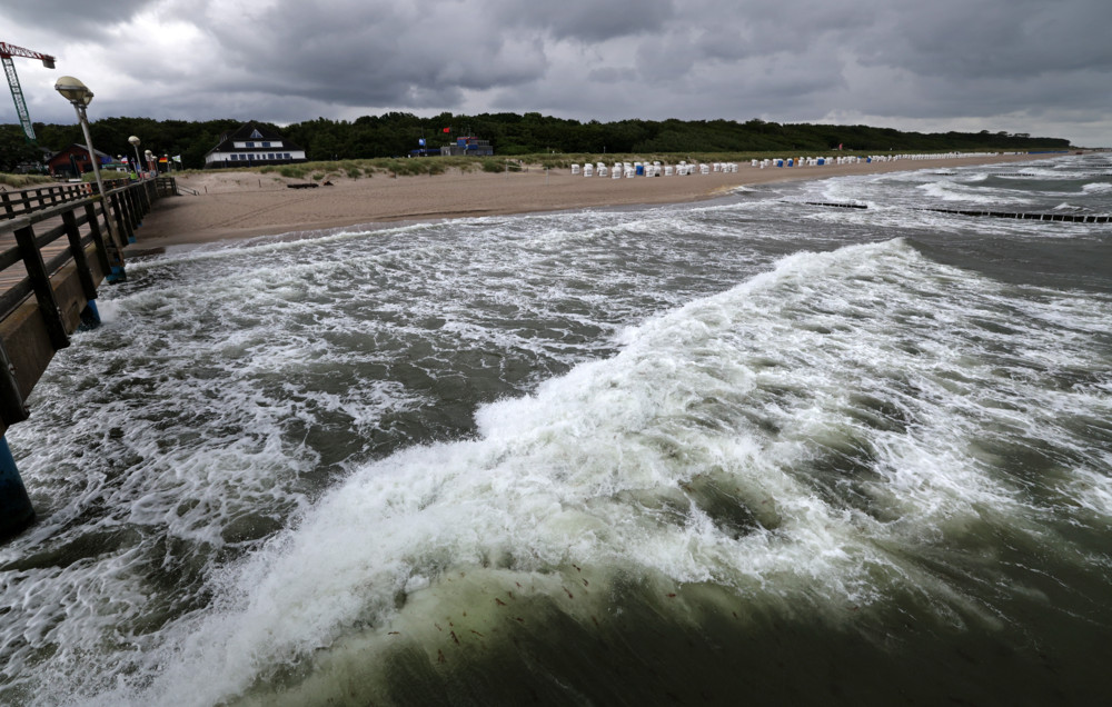 Mecklenburg-Vorpommern / Empörung nach rassistischem Angriff auf Kinder und verletze Achtjährige
