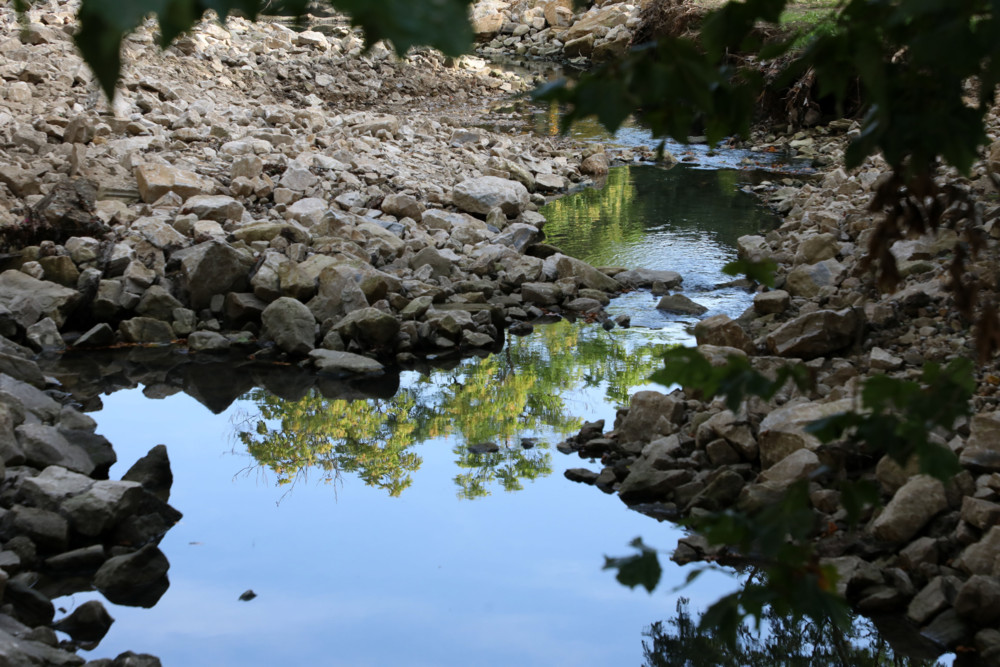 Naturschutz / EU-Umweltminister verabschieden umkämpftes Renaturierungsgesetz