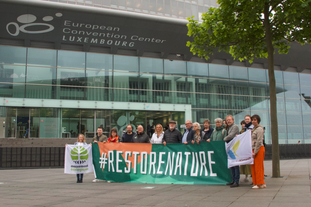 Naturschutz / Nach Verabschiedung des Renaturierungsgesetzes: „Großer Sieg für die europäische Natur und die Bürger“