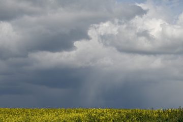 Wetter / Meteolux gibt Gewitterwarnung mit Hagelrisiko für Donnerstag heraus