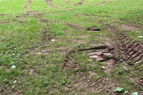 Sie sieht der ein oder andere Rasen des Naherholungsgebiets Galgenberg momentan aus