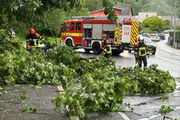 Altwies / Stürmischer Donnerstagabend – Feuerwehr räumt Straße frei