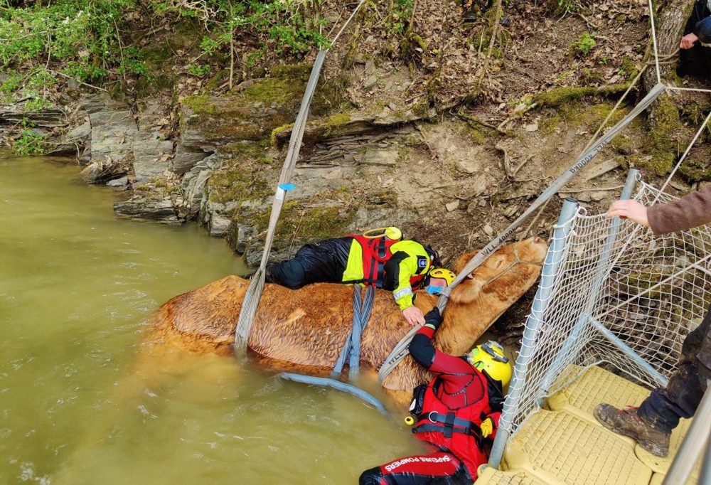 Tierrettung / „Groupe de sauvetage animalier“ des CGDIS hilft bei Notfällen mit Tieren