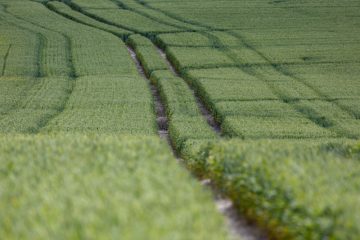 Landwirtschaft / Luxemburg stellt sich gegen obligatorische Herkunftsbezeichnung auf EU-Ebene