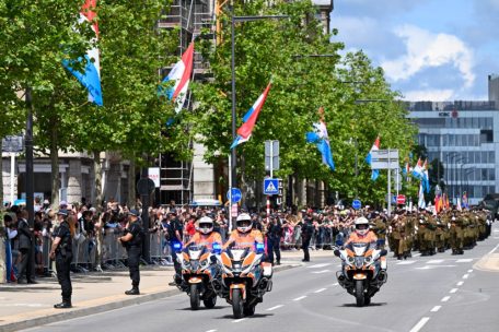 Nationalfeiertag / Rettungsfahrzeuge, Kanonenschüsse, Militär: Der Nachmittag in Luxemburg-Stadt in Bildern