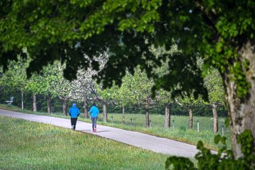 WHO-Studie / Fast ein Drittel aller Erwachsenen bewegt sich nicht genug