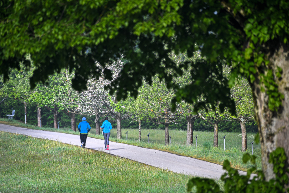 WHO-Studie / Fast ein Drittel aller Erwachsenen bewegt sich nicht genug