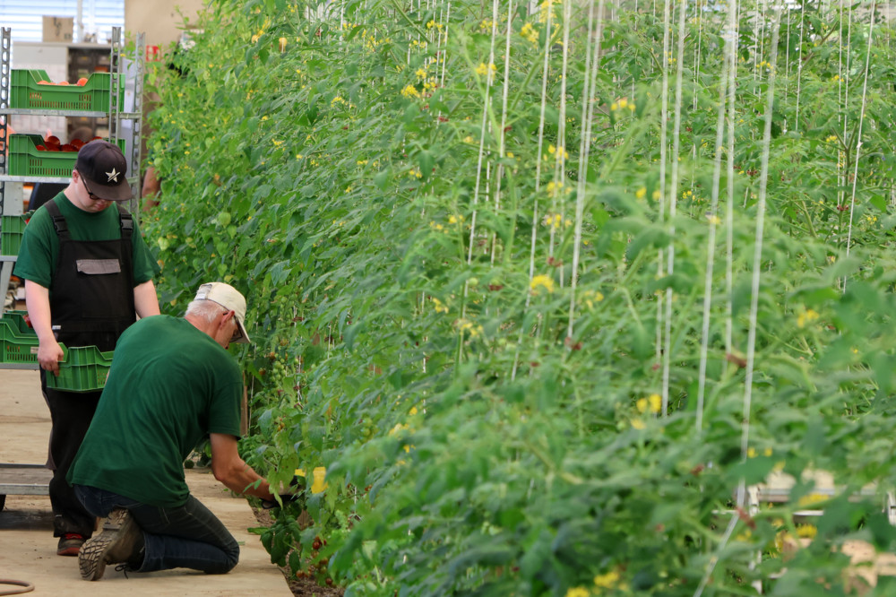 Limpach / Kleine Produktion, wichtige Arbeit: Neue Ateliers der Behindertenhilfsorganisation APEMH offiziell eröffnet