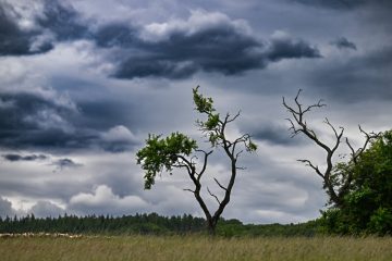 Wetter / Experte warnt vor Unwetter am Samstag – Intensität in Luxemburg noch unklar