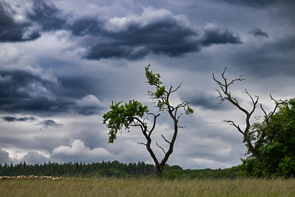 Wetter / Experte warnt vor Unwetter am Samstag – Intensität in Luxemburg noch unklar