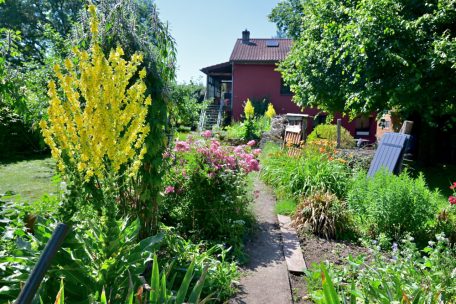 Der private Garten: ein Naturgarten, wie er im Buche steht