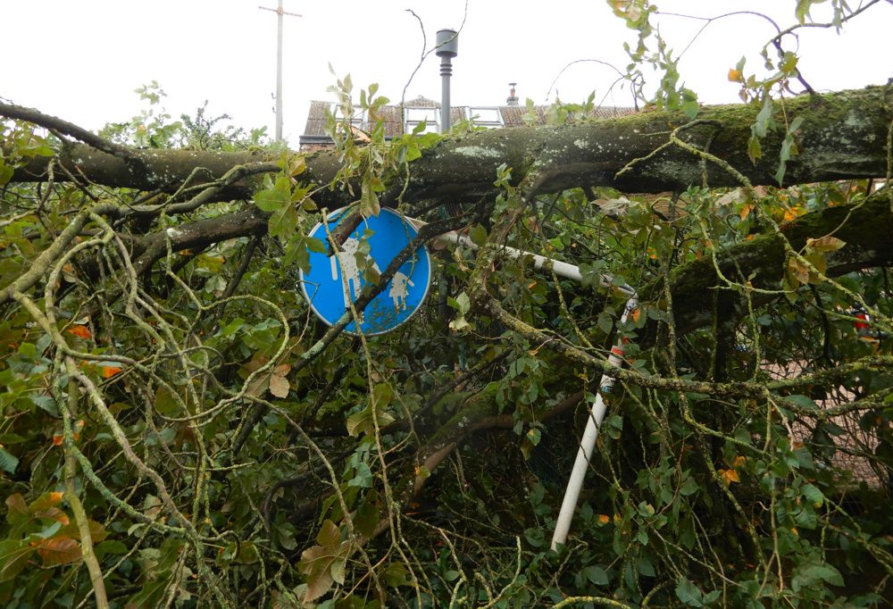 CGDIS / Wetterwarnstufe Orange: So bereiten sich die Mitarbeiter der Luxemburger Rettungskräfte vor 