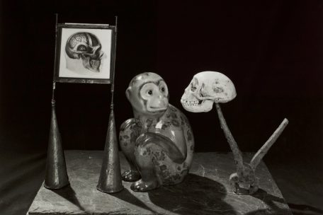 Michel Medinger, „Réflexion sur Darwin“, 2013, tirage argentique