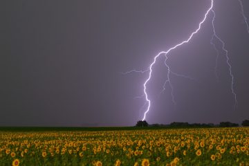Warnstufe Gelb / Meteolux ruft Hitze- und Gewitterwarnung aus