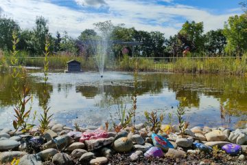 Palliativpflege / Omega 90 stellt eine immer größere Nachfrage an Trauerbegleitung bei Kindern fest