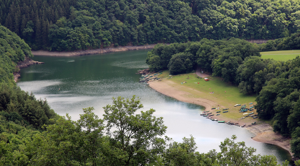 Blaualgen / Wasserwirtschaftsamt verhängt Badeverbot an den Stränden Burfelt und „Rommwiss“