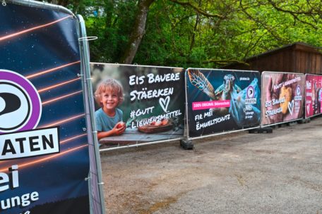 Der Politflüsterer / Willkommen in der Realität!