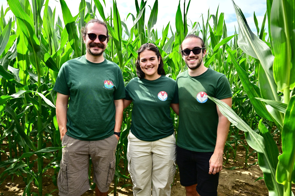Rosport / Abenteuer im Maisfeld: 900 Meter langes Labyrinth eröffnet