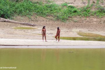 Peru / Unkontaktiertes Volk nahe Abholzungsgebiet gesichtet