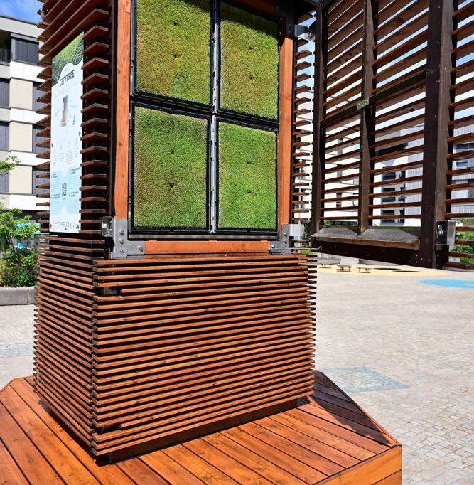 Differdingen / Erster von fünf „City Trees“ aufgestellt